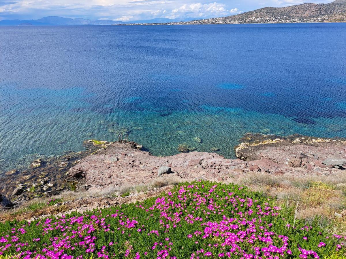Almyra Seaside Villa Perdika  Exterior foto